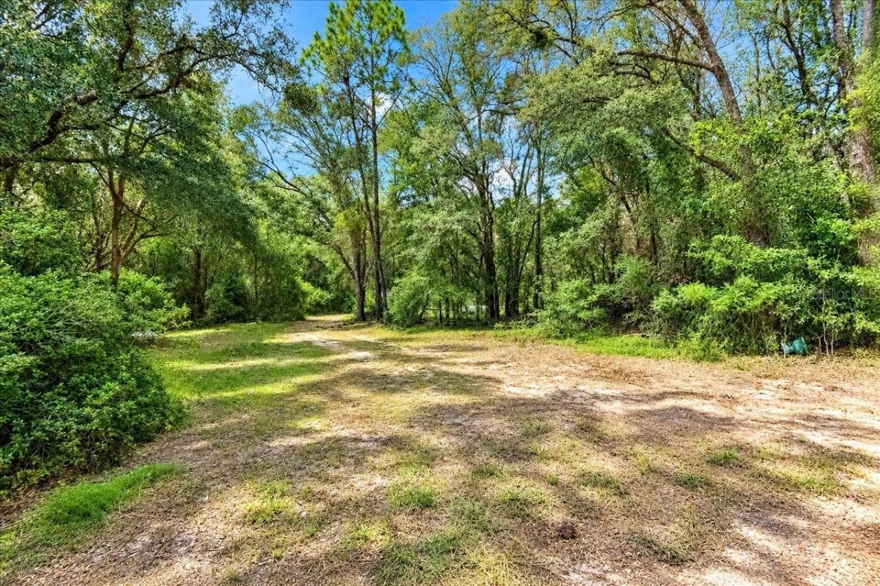 12150 NE 75th Street, Bronson, FL 32621 Photo