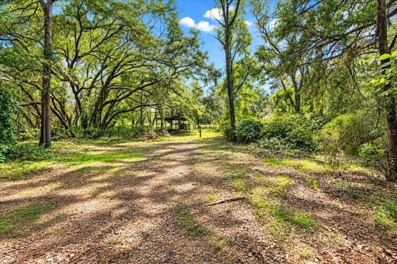 12150 NE 75th Street, Bronson, FL 32621 Photo