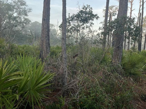 104 TEMPLE Avenue, Crescent City, FL 32112