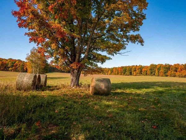 TBD M-32 Highway, Unit Parcel D, East Jordan, MI 49727