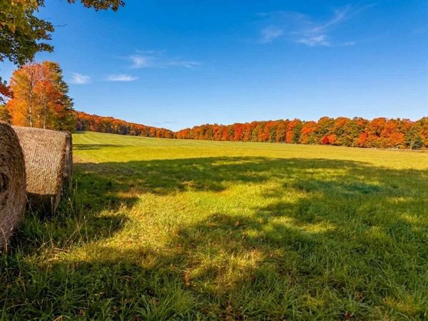 TBD M-32 Highway, Unit Parcel e, East Jordan, MI 49727