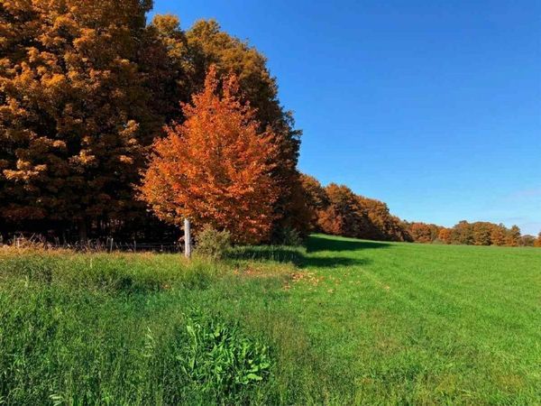 TBD M-32 Highway, Unit Parcel C, East Jordan, MI 49727