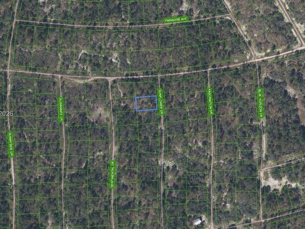 272 Sun Flower Dr , Lake Placid, FL 33852
