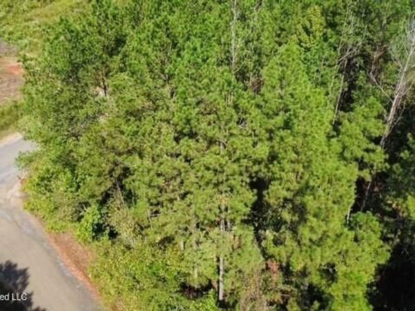 5464b Pecan Orchard Road, Liberty, MS 39645