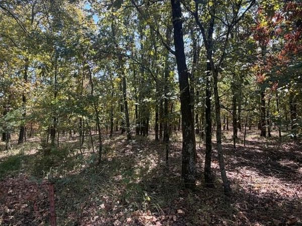 12593 S Crystal Cemetery Road, Lane, OK 74555