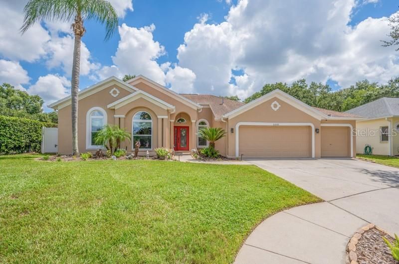 1001 SPLIT SILK STREET  Valrico, FL 33594