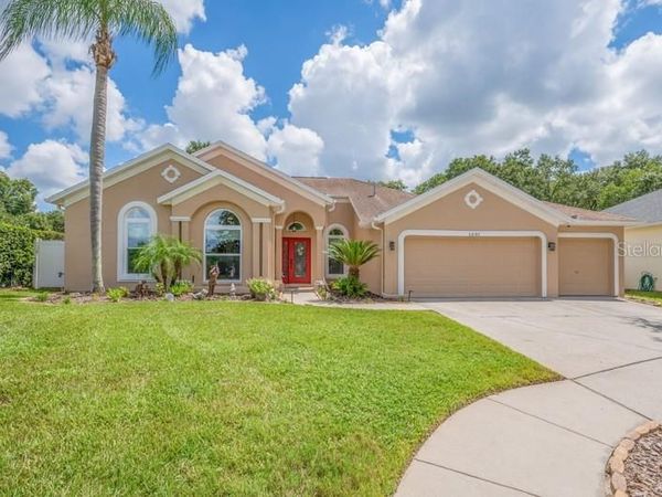 1001 SPLIT SILK STREET , VALRICO, FL 33594