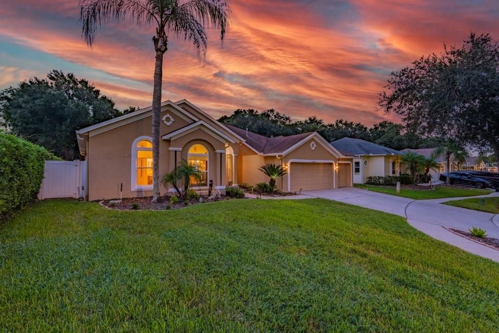 1001 Split Silk Street , Valrico, FL 33594 Photo