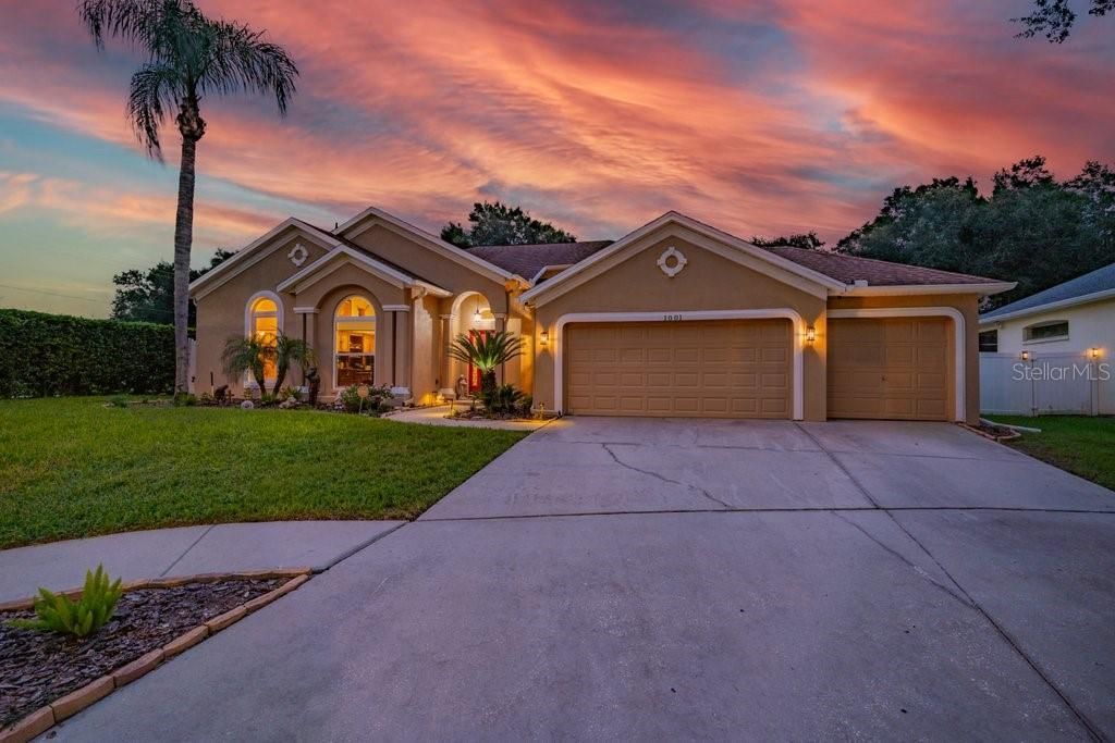 1001 Split Silk Street , Valrico, FL 33594 Photo