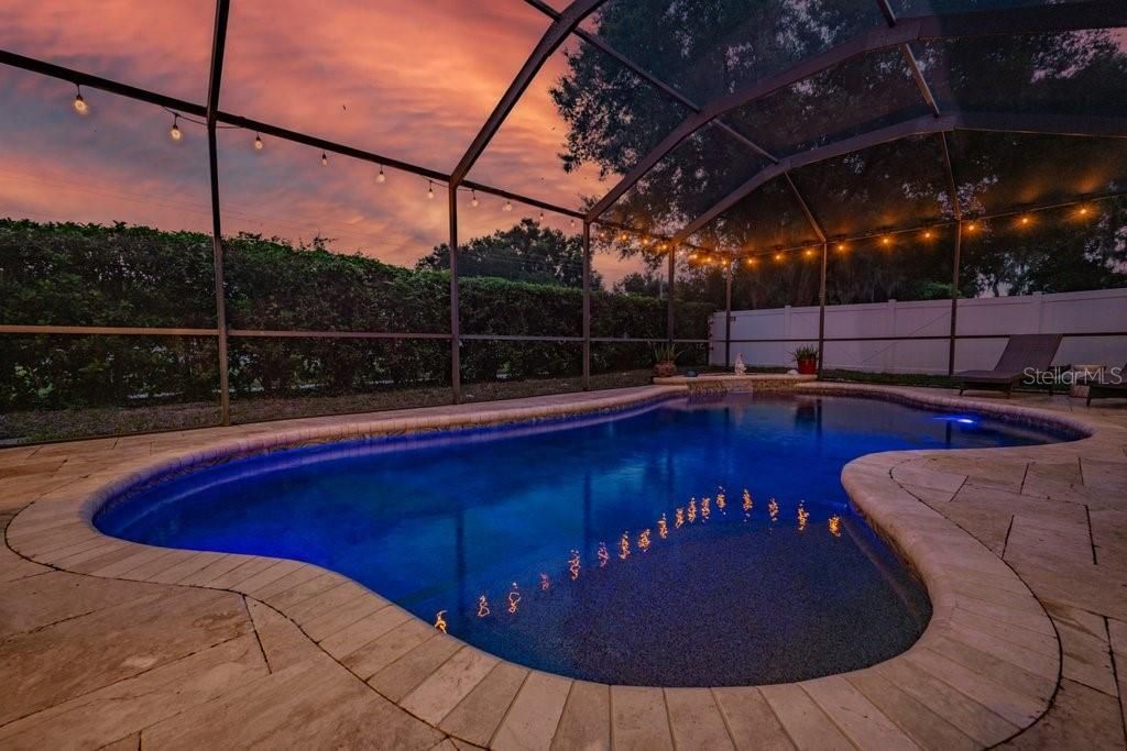 1001 Split Silk Street , Valrico, FL 33594 Photo