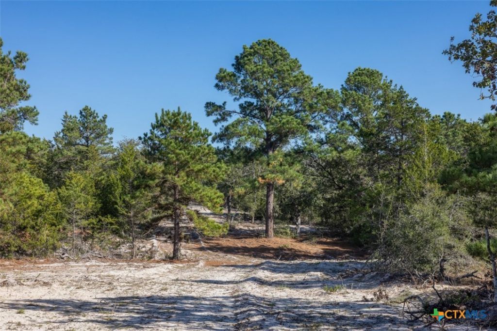 555 Altamira Lane, Dale, TX 78616 Main Photo