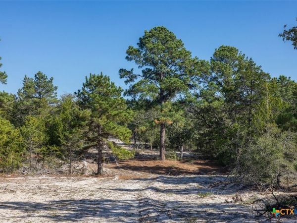 555 Altamira Lane, Dale, TX 78616