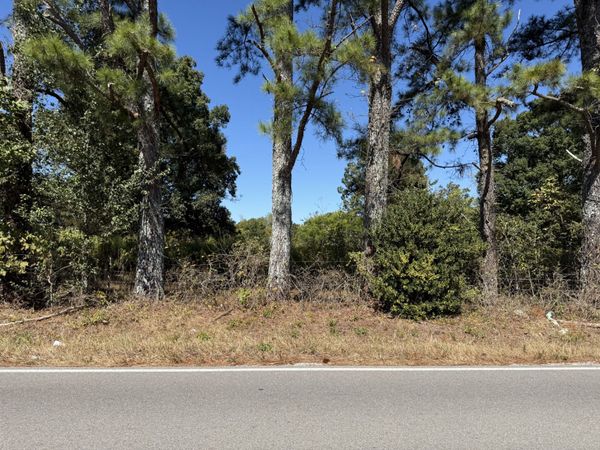 0 Old Florence Pulaski Rd , Unit 3, Leoma, TN 38468