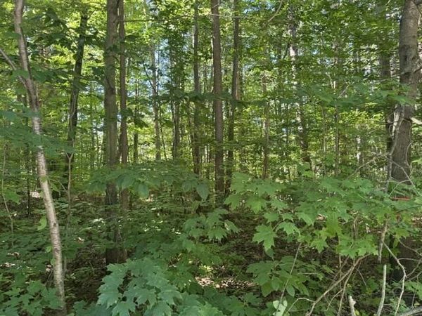 5818 Hunters Ridge, Fennville, MI 49408