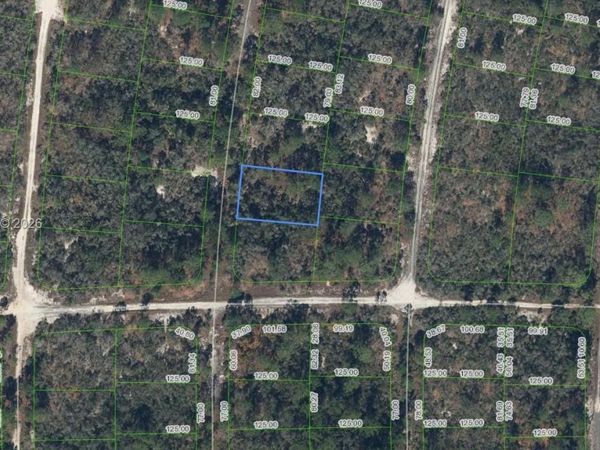 305 Blue Heaven Drive , Lake Placid, FL 33852