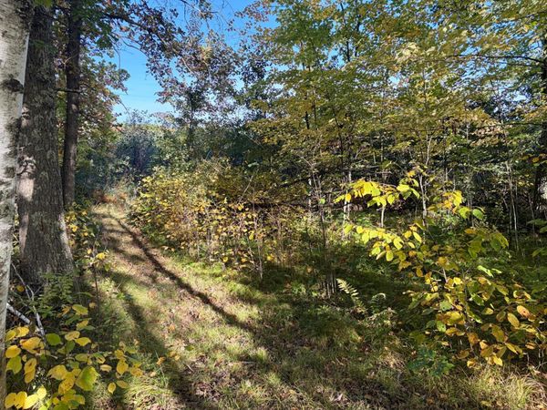 TBD 248th Place , McGregor, MN 55760