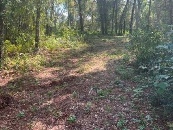 ELAINE DRIVE , WEBSTER, FL 33597