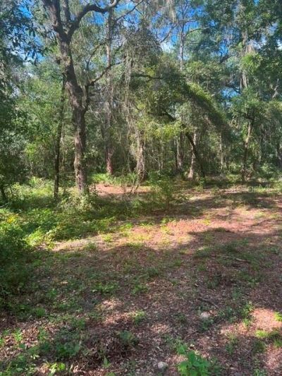 Elaine Drive, Webster, FL 33597 Photo