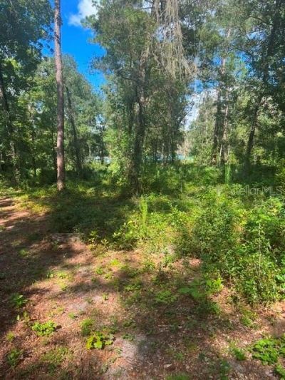 Elaine Drive, Webster, FL 33597 Photo