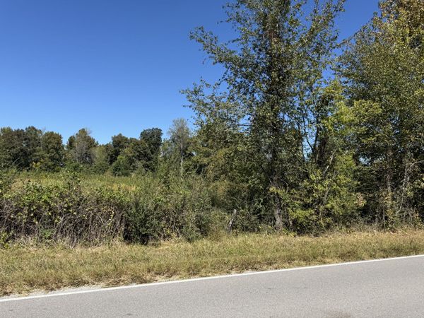 0 Old Florence Pulaski Rd , Unit 5, Leoma, TN 38468