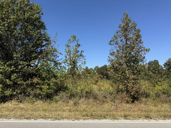 0 Old Florence Pulaski Rd , Unit 6, Leoma, TN 38468