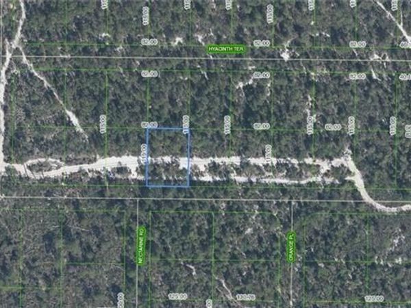 1238 Hyacinth Avenue , Sebring, FL 33875