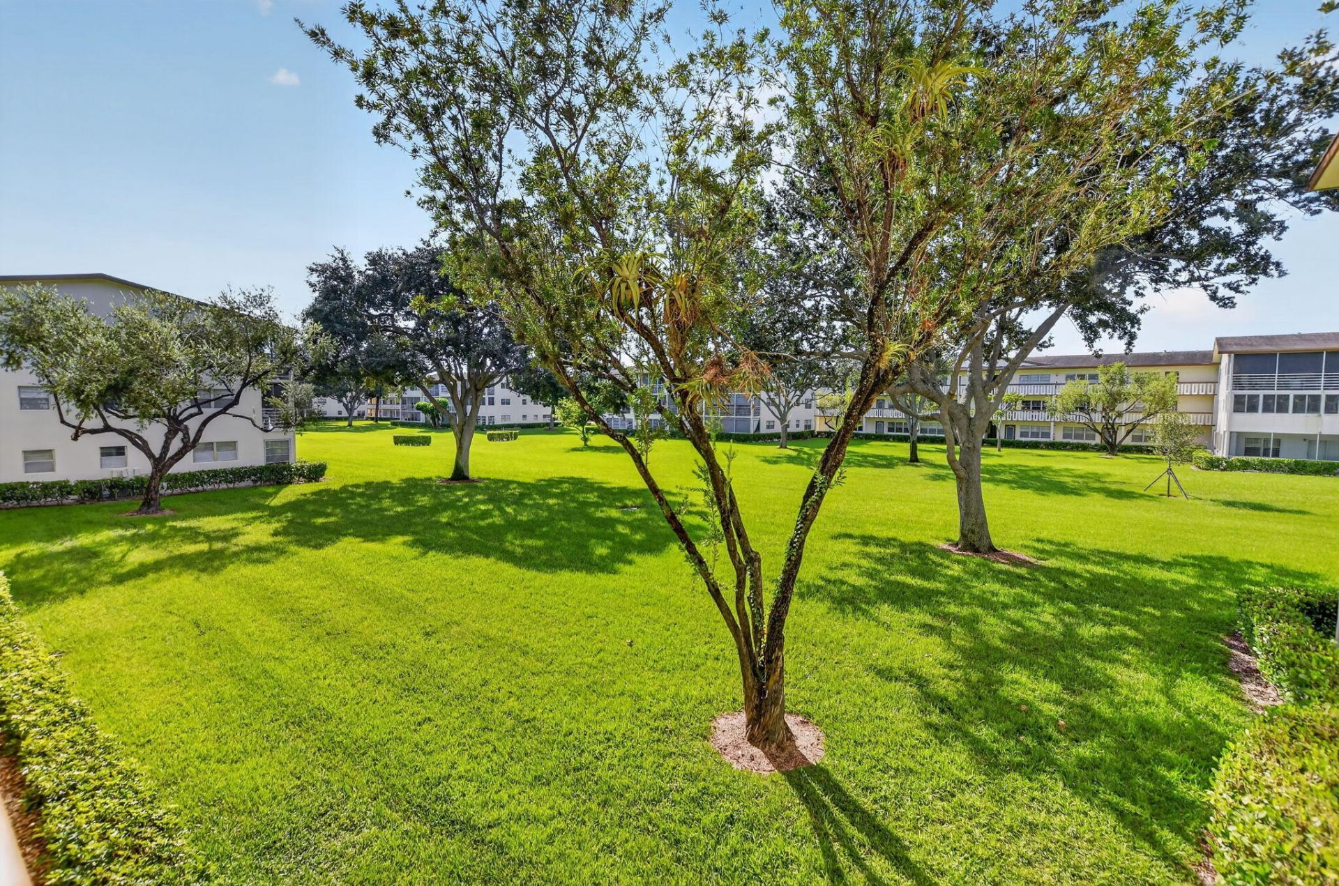 150 Mansfield D, Boca Raton, FL 33434 Photo