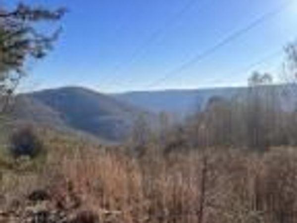 Hatfield Creek Rd, Newcomb, TN 37819