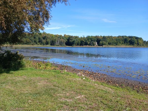 5382 W Oak Point Road, Ludington, MI 49431