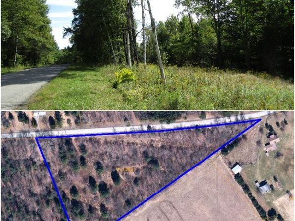 Titus Lake Road, Harpersfield, NY 13786