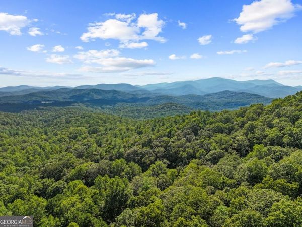 5.5 ACRE Forest Service Rd 35, Blue Ridge, GA 30513