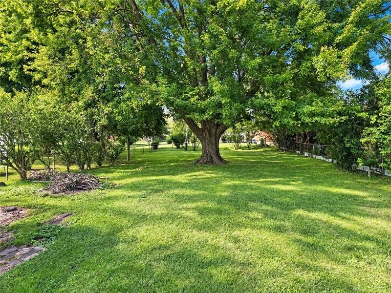 109 S Fostoria Avenue, Springfield, OH 45505 Photo 6
