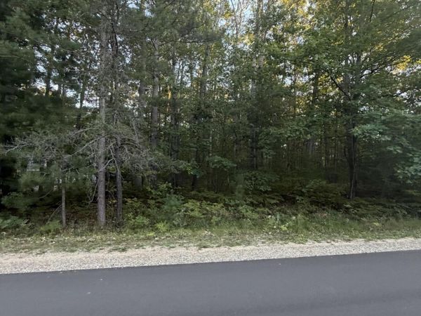 1350 N St Helen Road, St. Helen, MI 48656