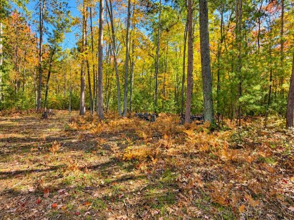 1350 N St Helen Road, St. Helen, MI 48656