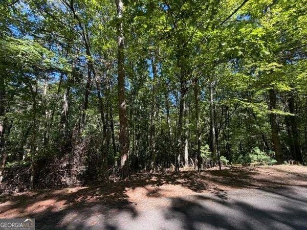 305 Seneca Drive, Ellijay, GA 30540