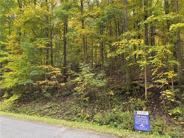 Smith Road, Newfield, NY 14867