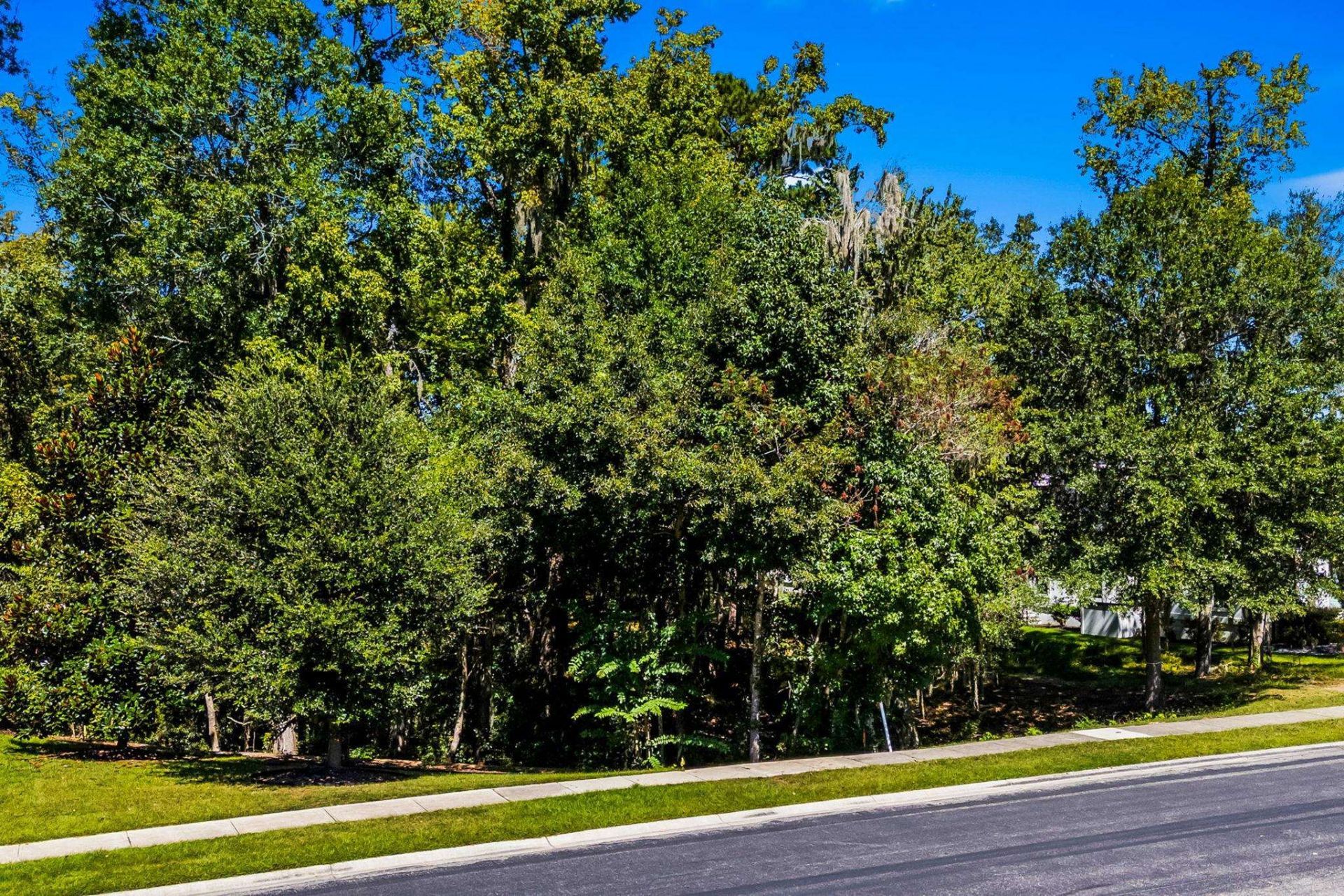 384 Chamberlin Rd. Photo 18