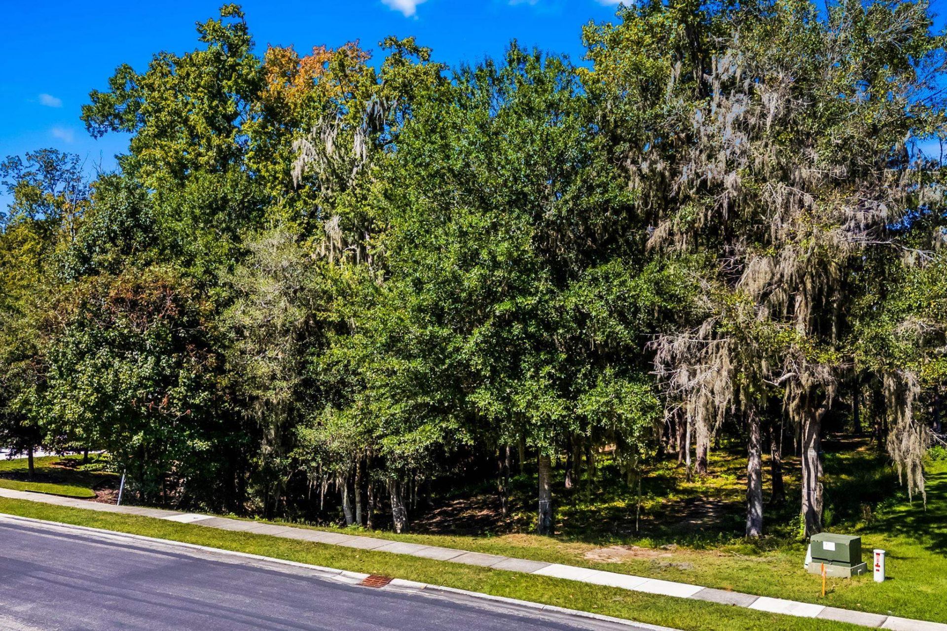 384 Chamberlin Rd. Photo 19