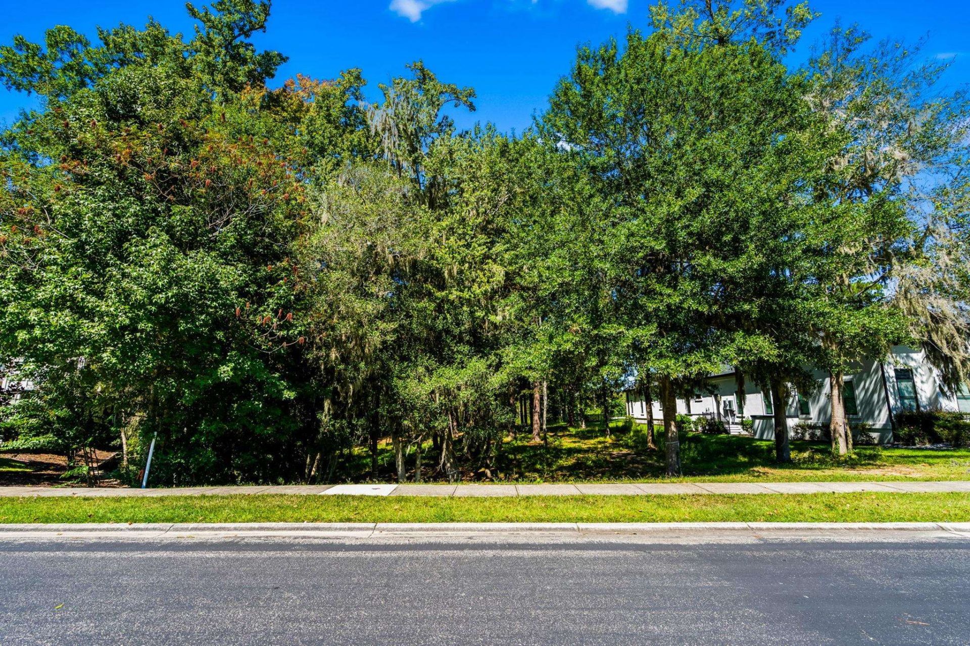 384 Chamberlin Rd. Photo 20