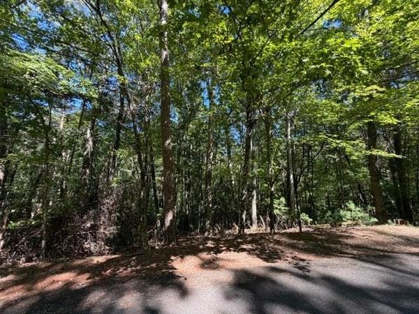 305 Seneca Drive , Ellijay, GA 30540