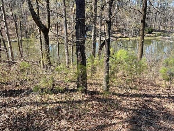 12 Boka Cove, Hernando, MS 38632