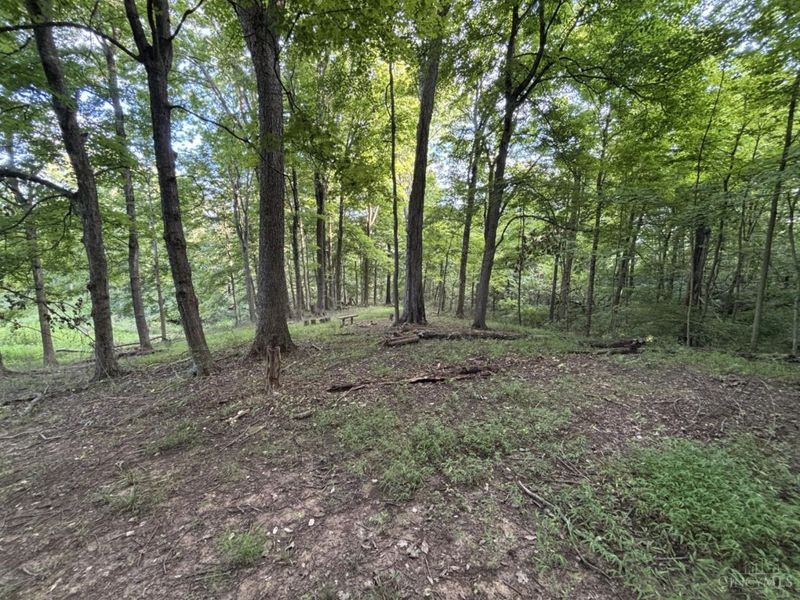 3315 Cole Road, Pierce Township, OH 45157 Photo 50
