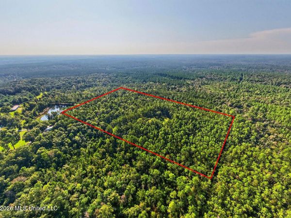 17 +/- Ac Burnis Havard Road, Perkinston, MS 39573