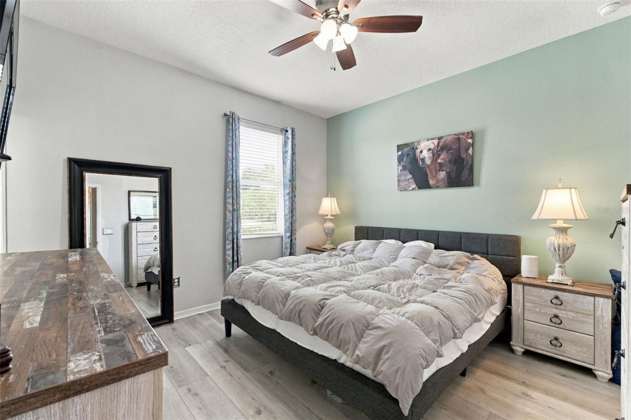 10643 Marsha Drive , New Port Richey, FL 34655 Photo