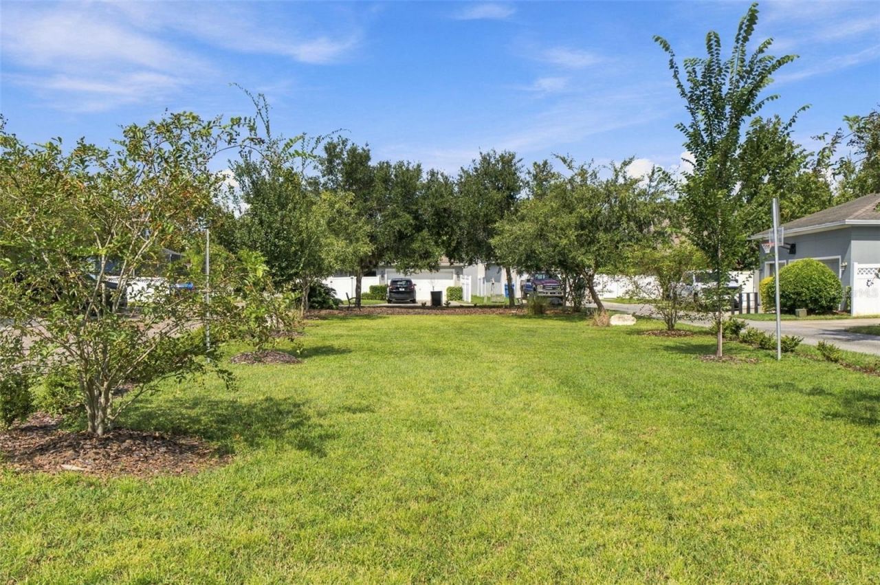 10643 Marsha Drive , New Port Richey, FL 34655 Photo
