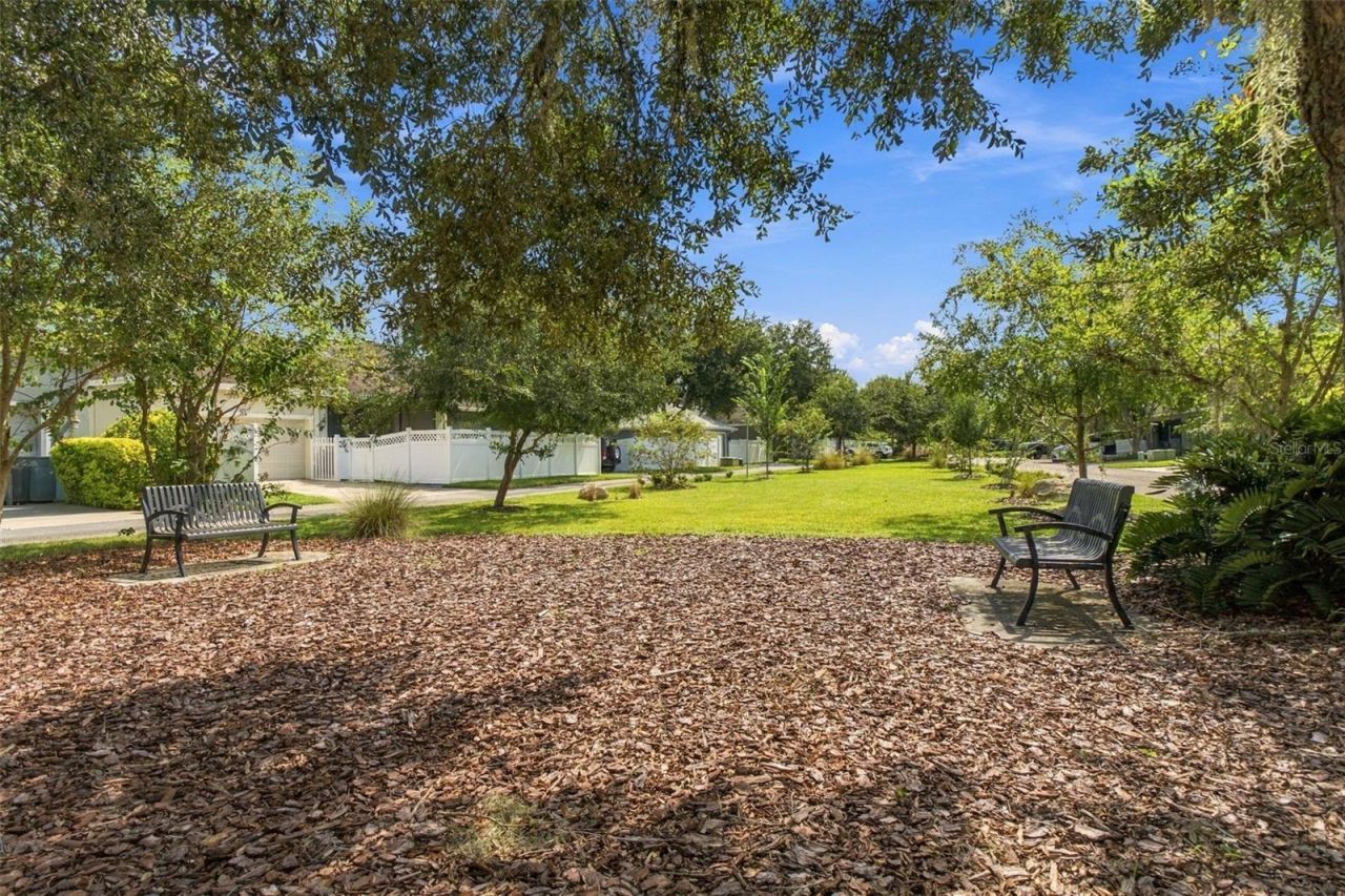 10643 Marsha Drive , New Port Richey, FL 34655 Photo