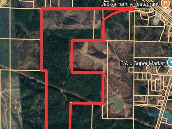 Ruby Ln., Burnsville, MS 38833