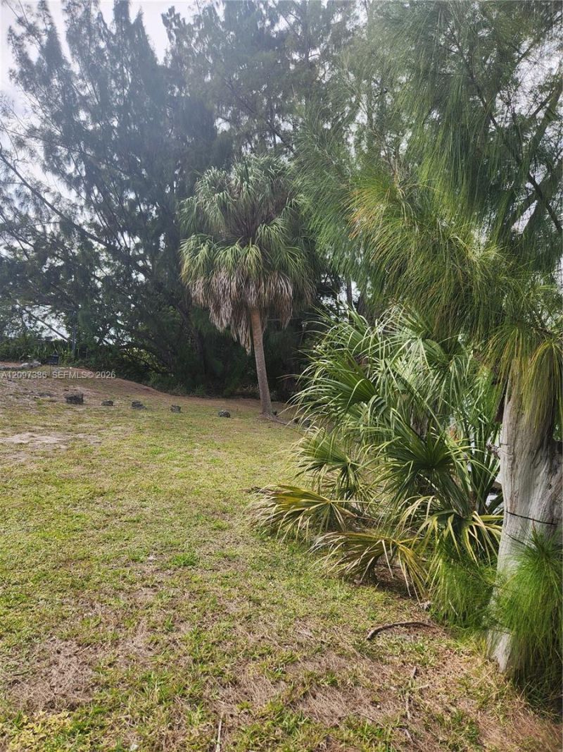 Please Call For Address, North Miami, FL 33167 Photo