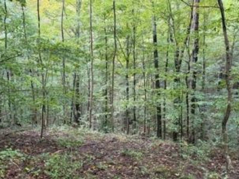 18853 Township Rd. 65, Coshocton, OH 43844 Photo 25