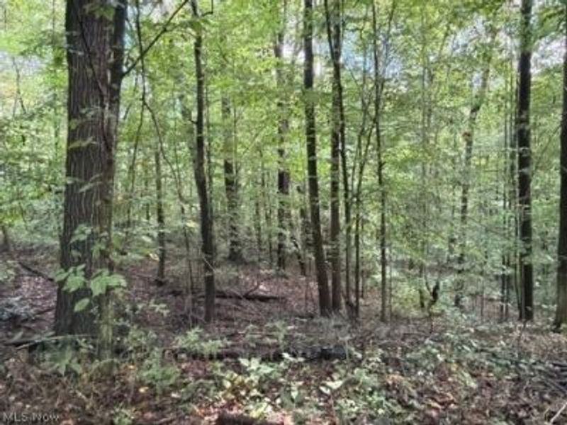 18853 Township Rd. 65, Coshocton, OH 43844 Photo 27